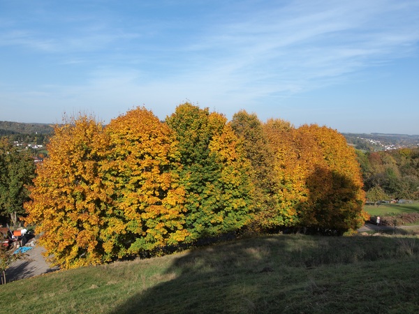Bild Nr. 2